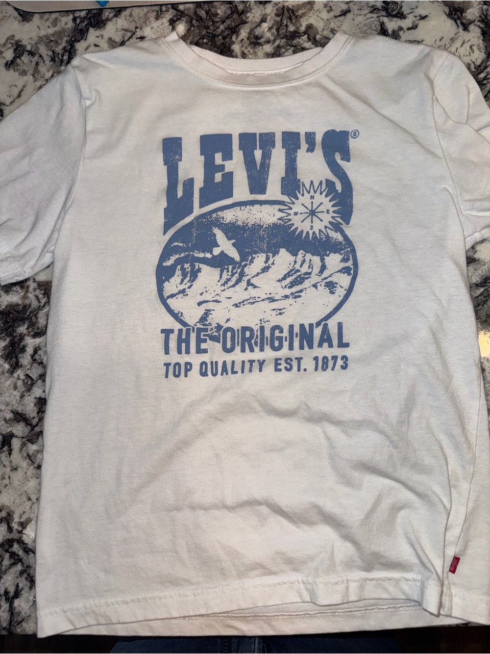 Levi's kids Graphic Logo Short Sleeve Tee